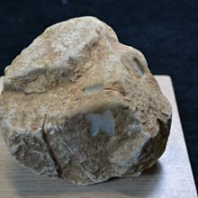 ┌批發零售┐M802 24英吋 無段調速水冷扇 變頻移動式水冷扇 通風扇 排風機 落地扇 清涼降溫 大型場地降溫電扇 歷史價格詳細信息
