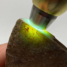 【地漏】201材質 不銹鋼地漏芯 HB015 地漏 防蟲防臭 排水孔 防蟑 歷史價格詳細信息