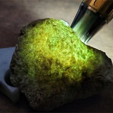 緬甸礦區直收翡翠原石賭石~莫灣基陽綠色料~全賭石~精品會員專區~A158 歷史價格詳細信息