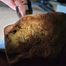 緬甸礦區直收翡翠原石賭石~莫灣基陽綠色料~全賭石~精品會員專區~A158 歷史價格詳細信息