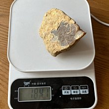 缅甸大光蓮寺舍利子博物館白玉腦軸佛骨舍利 3.5-4.5mm1尊 五輪塔琉璃舍利塔吊墜掛件寶瓶嘎烏盒裝藏舍利子甘露丸 歷史價格詳細信息