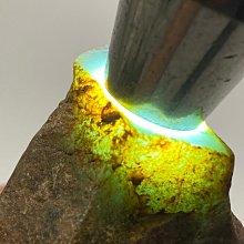 【地漏】201材質 不銹鋼地漏芯 HB015 地漏 防蟲防臭 排水孔 防蟑 歷史價格詳細信息