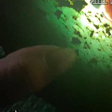 ，老料滿綠花青翡翠手鐲，58＋，種老冒油，玻璃光澤，光可 和田玉 玉石 收藏 -2979 歷史價格詳細信息