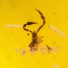 卡12原生態菩提根手串桶珠天然文玩佛珠男女手錬繞指柔精工磨砂 歷史價格詳細信息