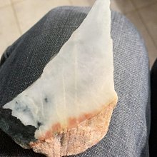 那種可能性我早就想到了│尖端│井上真偽 │無劃記、無破損 歷史價格詳細信息