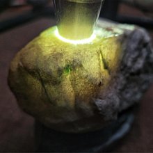 緬甸礦區直收翡翠原石賭石~莫灣基陽綠色料~全賭石~精品會員專區~A158 歷史價格詳細信息