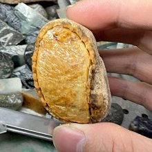大馬坎翡翠原石，種老肉細，，重86g，滿免運 歷史價格詳細信息