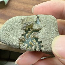 緬甸少見軍政府舊版（國父像） 歷史價格詳細信息