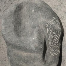 你可以這樣找創意  9789865722302  凱莉．史密斯(Keri Smith)  馬可孛羅  無劃記118H 歷史價格詳細信息