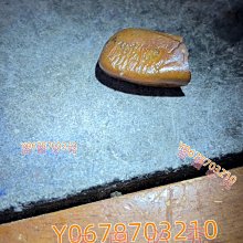 高端大橙金72支黃料電木茶盤功夫泡茶杯具家用辦公室茶臺託禮品 歷史價格詳細信息