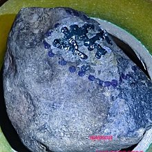 066天堂集團《全新HarpParadise順階排列複音口琴》合奏/適合初學者/現貨 歷史價格詳細信息