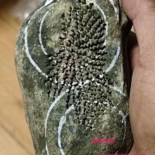 莫西沙翡翠原石66克小皮革老料，全身打燈都有比較好的熒光表現，而且是老皮革，，喜 舊藏 古玩 翡翠 二手【快樂真棒】-5552 歷史價格詳細信息