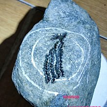 翡翠莫西沙敞口走水路、起綠熒光的小料，玩好種水的小掛件料，重量有113克，挺壓手的，石型 舊藏 古玩 翡翠 二手【快樂真棒】-5630 歷史價格詳細信息