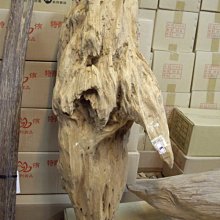 【天竺香業】早期野生大總檀香原物料『印尼老山檀香樹頭圈仔』『印尼老山檀香樹頭束柴』香友Y812051882(151)請購 歷史價格詳細信息