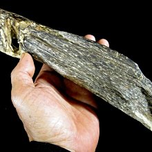 [福田工藝]沈香/特選順化完全礦化紅土沈/油脂凝膏/香味醇厚/醍醐灌頂本標10g[順1] 歷史價格詳細信息