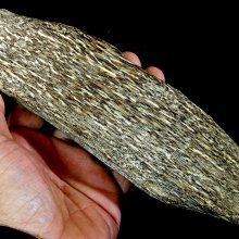 1/13結標 手繪 牡丹富貴 PCL0073 -軸畫 茶掛 書法 絹本 山水 花鳥 人物 走獸 植物 室內裝飾 大廳擺飾 古美術 居家擺飾 歷史價格詳細信息