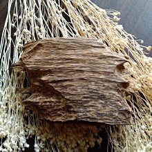 雙面油邊機 肩帶油邊機 皮帶油邊機 歷史價格詳細信息