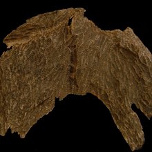 『保真』老玉市場-越南野生老芽莊沉香(3.40g)生聞淡香(野生沉香)香甜味/煎香泡茶佳品 歷史價格詳細信息