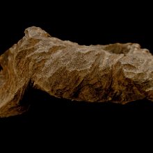 『保真』老玉市場-越南野生老芽莊沉香(3.40g)生聞淡香(野生沉香)香甜味/煎香泡茶佳品 歷史價格詳細信息