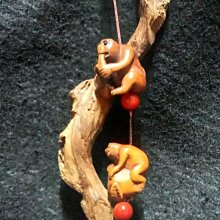 野生會安大殼碎塊料/整塊都是油脂/48g 歷史價格詳細信息