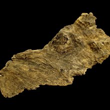 『保真』老玉市場-越南野生老芽莊沉香(3.40g)生聞淡香(野生沉香)香甜味/煎香泡茶佳品 歷史價格詳細信息