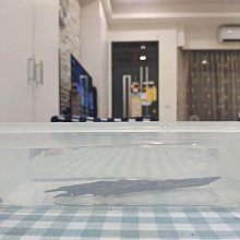 沉水樹丁奇楠沉香女款單圈手串44克最具性價比的體驗 歷史價格詳細信息