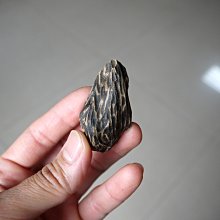 【木塊】越南惠安芽莊沉殼~惠安、水沉、禮佛、供佛 歷史價格詳細信息