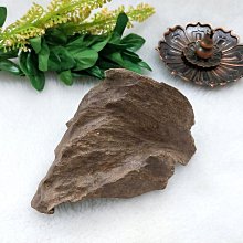 沉殼 沉香木 天然野生惠安沉香隨形擺件【佛善緣】ANE0913 歷史價格詳細信息