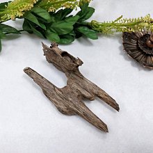 獨一無二! ※台北快貨※沃克斯手作 Wworks for Apple Magic Mouse (1.2代)彩色軟質保護套 歷史價格詳細信息