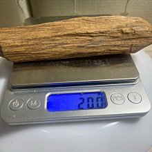 賣場免運！【38搶先購】樂高官方旗艦店10326自然歷史博物館積木禮物 歷史價格詳細信息