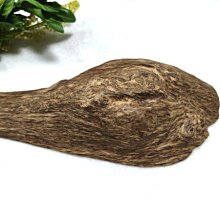 野生會安大殼碎塊料/整塊都是油脂/48g 歷史價格詳細信息