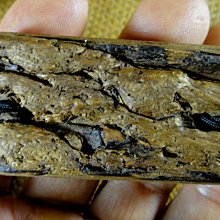 [福田工藝]老古董/加里曼丹沉香/香味濃醇油脂凝厚/實心聞香把玩香配墜飾本標17.2g[沈把9] 歷史價格詳細信息