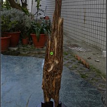 【水晶殼20張底片組合】富士FUJIFILM instax mini 40 復古型拍立得 (公司貨) 歷史價格詳細信息