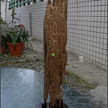 ~紫雲齋水晶~ 精選極品【20.高油脂越南惠安沉香殼擺件】 歷史價格詳細信息