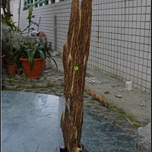 ~紫雲齋水晶~ 精選極品【20.高油脂越南惠安沉香殼擺件】 歷史價格詳細信息