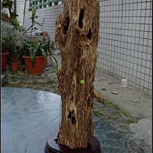 【沉香舍】越南惠安 惠安沉殼 煎香佳品 20g 重油 早期人工香菇沉 舊貨 瓶裝小塊袋裝大塊 整斤實惠 歷史價格詳細信息