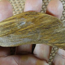 [福田工藝]老古董/加里曼丹沉香/香味濃醇油脂凝厚/實心聞香把玩香配墜飾本標17.2g[沈把9] 歷史價格詳細信息