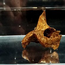 約15-19坪!送安裝《台南586家電館》HERAN禾聯窗型冷氣定頻/冷專冷氣機【HW-80P5】 歷史價格詳細信息