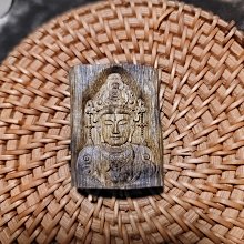 香～甜～涼 等級超讚 的越南煎香專用沉木片 歷史價格詳細信息