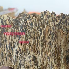 {老樹皮}[全新][89折][藝術家] 紅樓夢醒 : 茶與器．假作真．有還實 歷史價格詳細信息