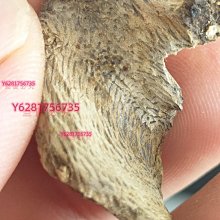 [ 雅集 ] 死神的考驗  茱蒂梅琳涅克.提傑米契爾/著 吳妍儀/譯 方言文化/2020年初版 J72 歷史價格詳細信息