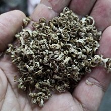 佳味煎匙/鍋鏟-小(不沾鍋專用) 歷史價格詳細信息