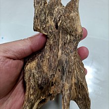 早期厚料 11.65公分 重量約240公克 龍鳳錢 招財進寶 花錢玩錢鎮庫壓爐壓勝 厚重古銅 老包漿 五帝 歷史價格詳細信息