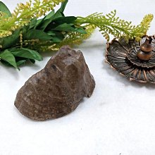 『純之香』越南惠安正區『沉水』隨形墜飾（附試水照） ARE0345 歷史價格詳細信息