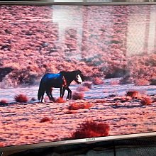 【HERAN 禾聯】43型電視 液晶顯示器 (HF-43VA1) 歷史價格詳細信息