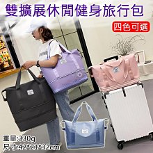 小熊雙灶電煮鍋多功能蒸煮一體鍋宿舍學生鍋分體小電鍋租房電炒鍋 歷史價格詳細信息