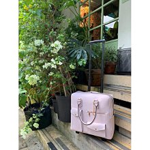 嫩粉綠-倉鼠26CM雙軸靜音跑輪-附原木支架 歷史價格詳細信息