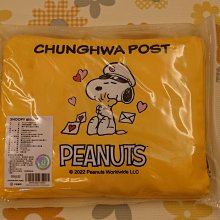 SNOOPY史努比要你抱抱❤️雪尼爾絨速乾造型擦手巾/2入組 歷史價格詳細信息