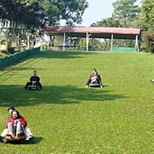 台南-走馬瀨農場蘭花會館-平日四人房含早餐+遊戲票 歷史價格詳細信息