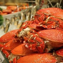 週五週日不加價@瑞寶旅遊@台南晶英酒店【海東客房】親子飯店:兒童遊戲室、泳池都有『含早餐』步行可到孔廟、國華街美食等 歷史價格詳細信息